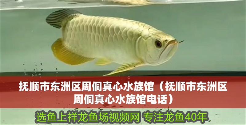 撫順市東洲區周侗真心水族館（撫順市東洲區周侗真心水族館電話）