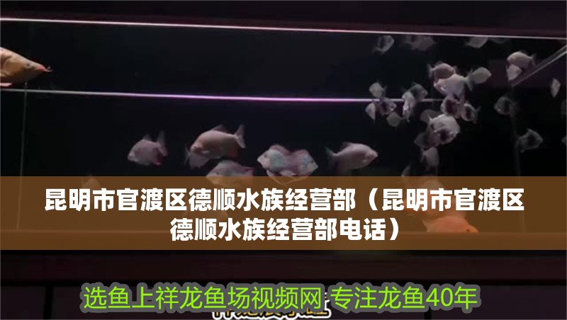 昆明市官渡區(qū)德順?biāo)褰?jīng)營(yíng)部（昆明市官渡區(qū)德順?biāo)褰?jīng)營(yíng)部電話）