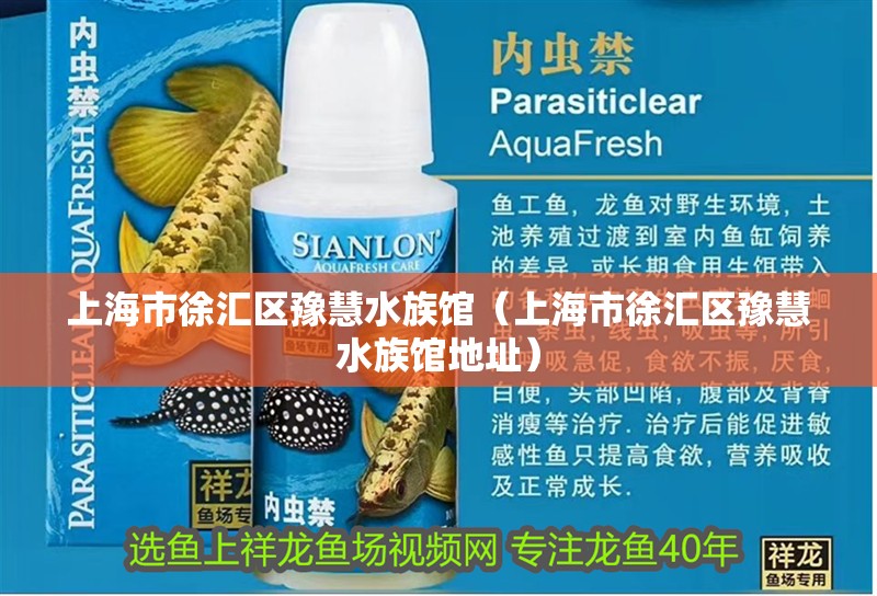 上海市徐匯區(qū)豫慧水族館（上海市徐匯區(qū)豫慧水族館地址）