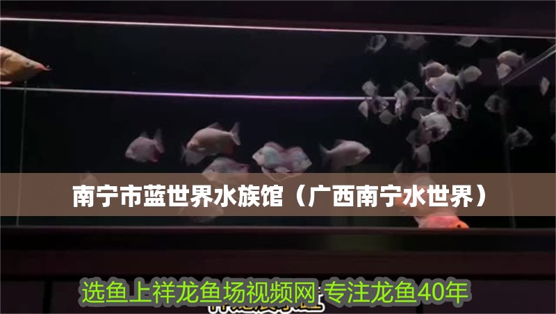 南寧市藍世界水族館（廣西南寧水世界）