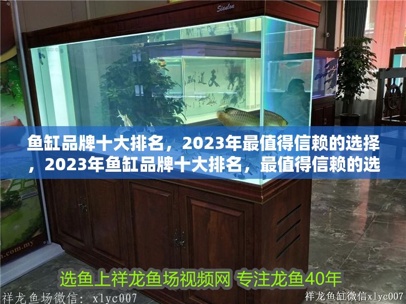 魚缸品牌十大排名，2023年最值得信賴的選擇，2023年魚缸品牌十大排名，最值得信賴的選擇