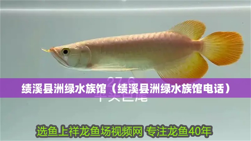 績溪縣洲綠水族館（績溪縣洲綠水族館電話）