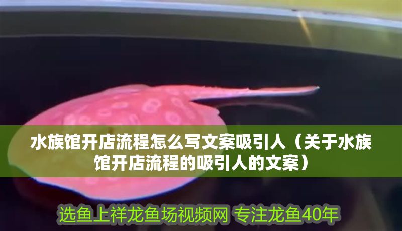 水族館開店流程怎么寫文案吸引人（關于水族館開店流程的吸引人的文案） 水族館開店流程怎么寫文案吸引人（關于水族館開店流程的吸引人的文案） 水族館百科（水族館加盟） 第1張