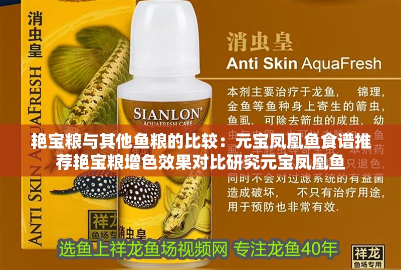 艷寶糧與其他魚糧的比較：元寶鳳凰魚食譜推薦艷寶糧增色效果對比研究元寶鳳凰魚
