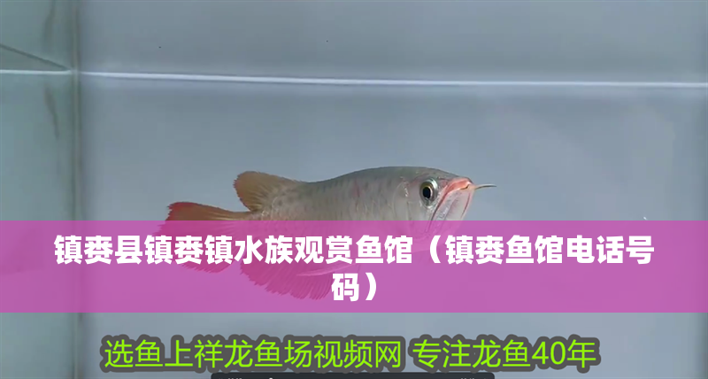鎮(zhèn)賚縣鎮(zhèn)賚鎮(zhèn)水族觀賞魚(yú)館（鎮(zhèn)賚魚(yú)館電話號(hào)碼）