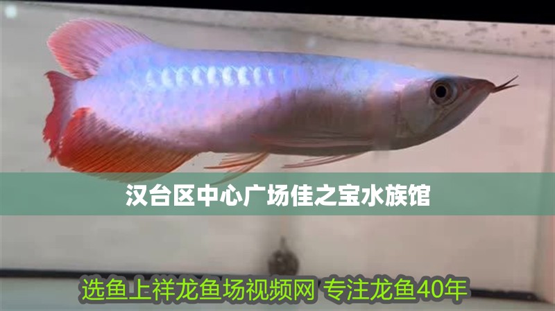 漢臺區中心廣場佳之寶水族館