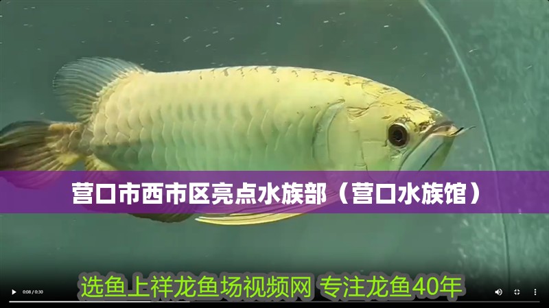 營口市西市區(qū)亮點(diǎn)水族部（營口水族館）