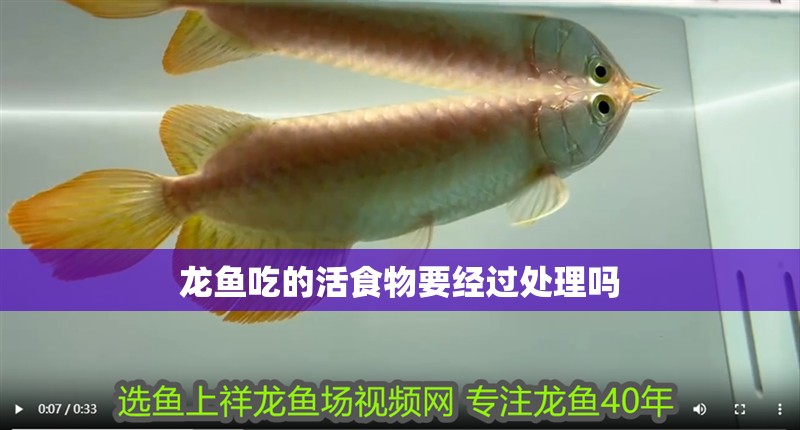 龍魚吃的活食物要經過處理嗎