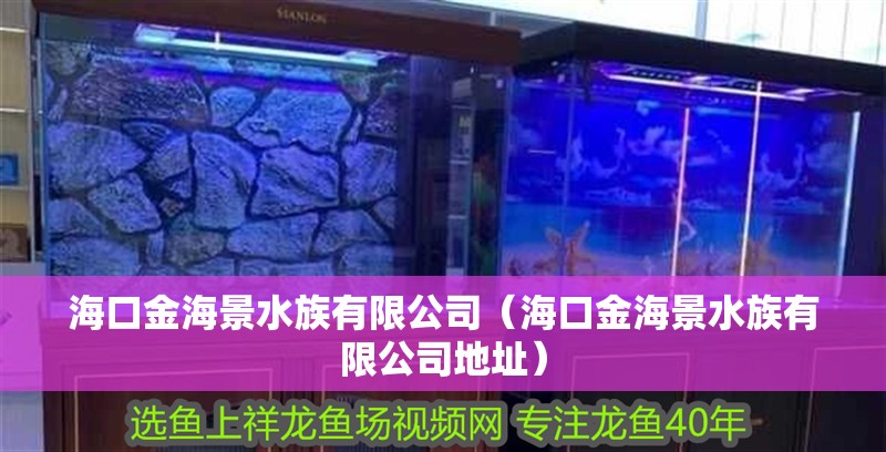 海口金海景水族有限公司（海口金海景水族有限公司地址）