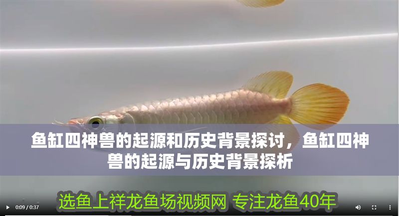 魚缸四神獸的起源和歷史背景探討，魚缸四神獸的起源與歷史背景探析