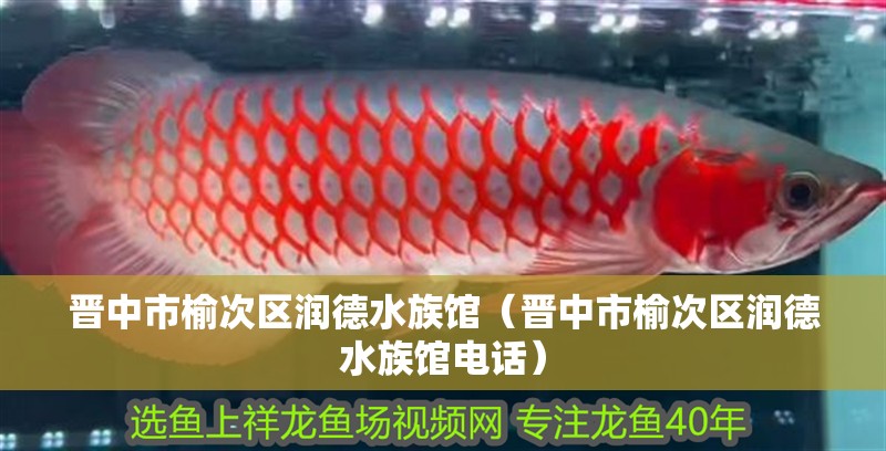 晉中市榆次區潤德水族館（晉中市榆次區潤德水族館電話）