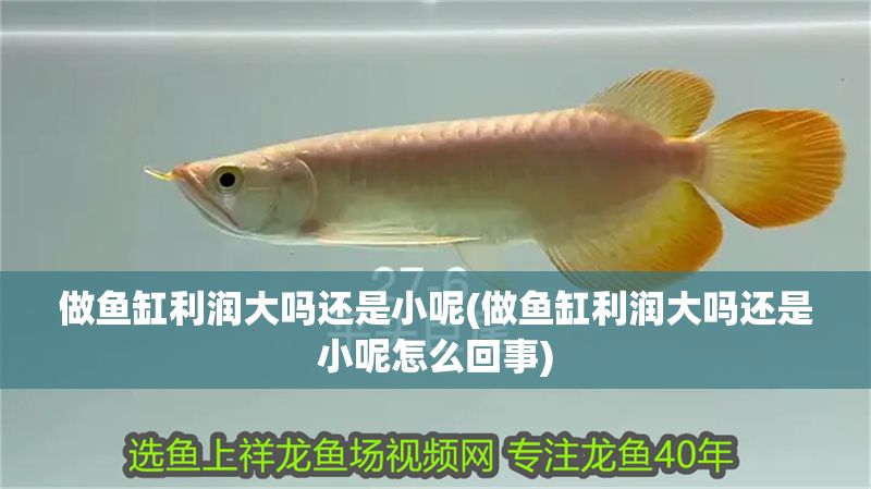 做魚缸利潤大嗎還是小呢(做魚缸利潤大嗎還是小呢怎么回事)