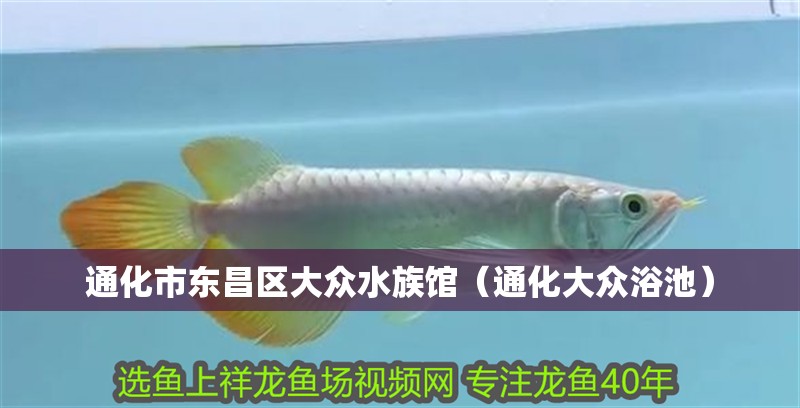 通化市東昌區(qū)大眾水族館（通化大眾浴池）