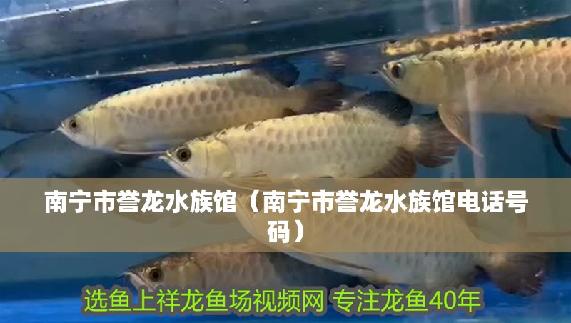 南寧市譽龍水族館（南寧市譽龍水族館電話號碼）