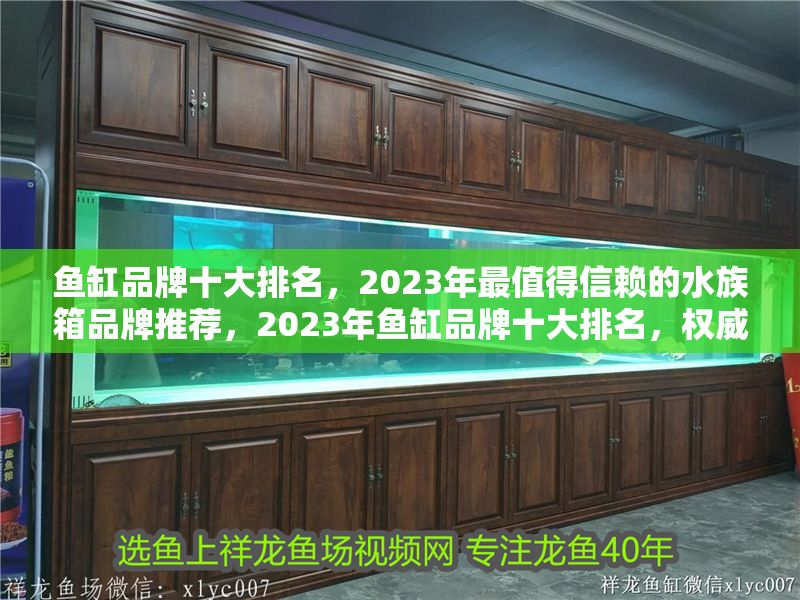 魚缸品牌十大排名，2023年最值得信賴的水族箱品牌推薦，2023年魚缸品牌十大排名，權威推薦最值得信賴的水族箱