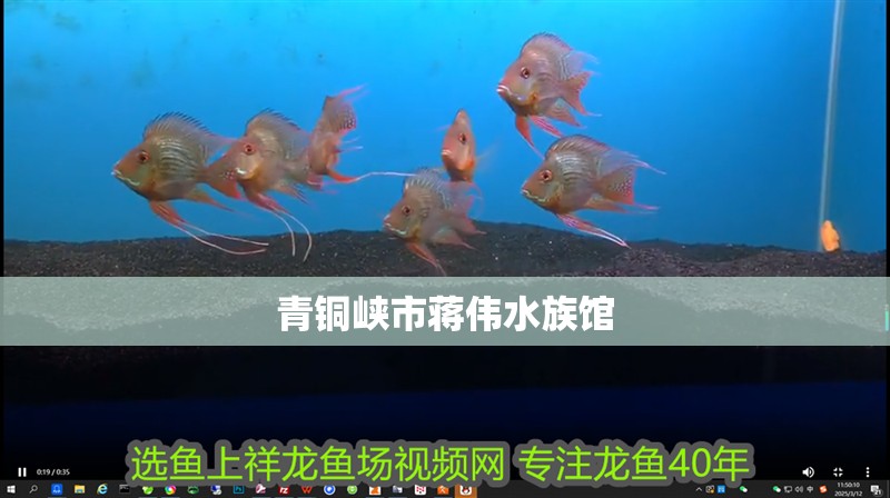 青銅峽市蔣偉水族館