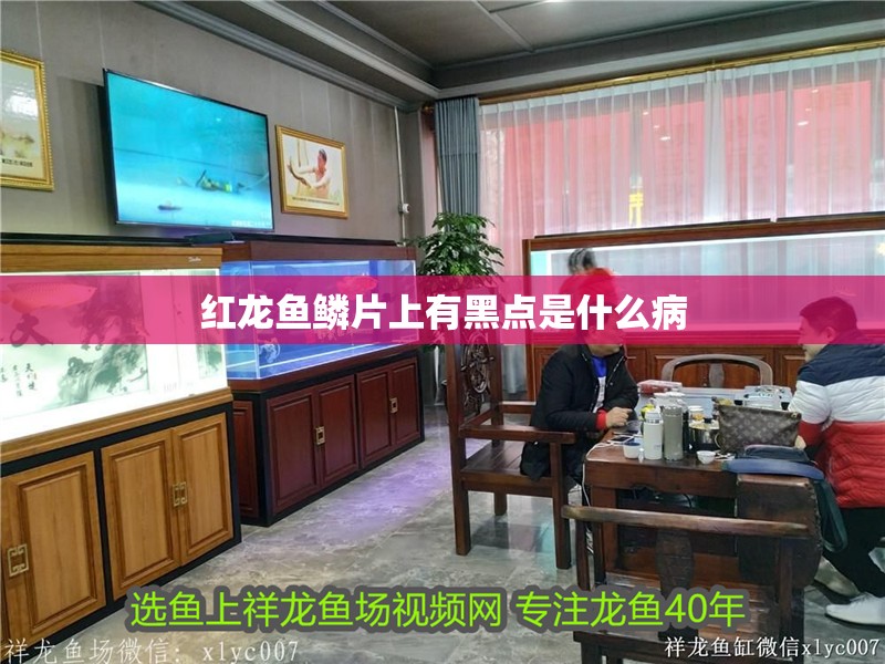 紅龍魚鱗片上有黑點(diǎn)是什么病