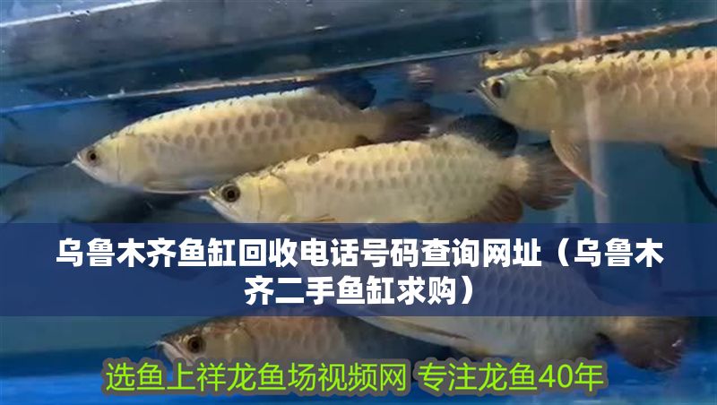 烏魯木齊魚缸回收電話號碼查詢網址（烏魯木齊二手魚缸求購）