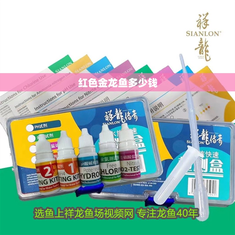 紅色金龍魚多少錢