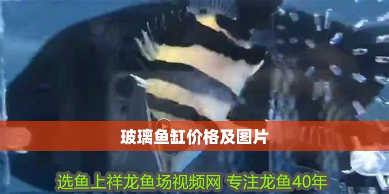 玻璃魚缸價格及圖片
