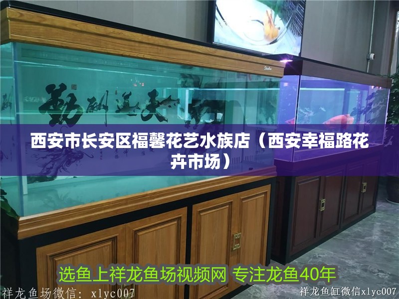 西安市長安區(qū)福馨花藝水族店（西安幸福路花卉市場）