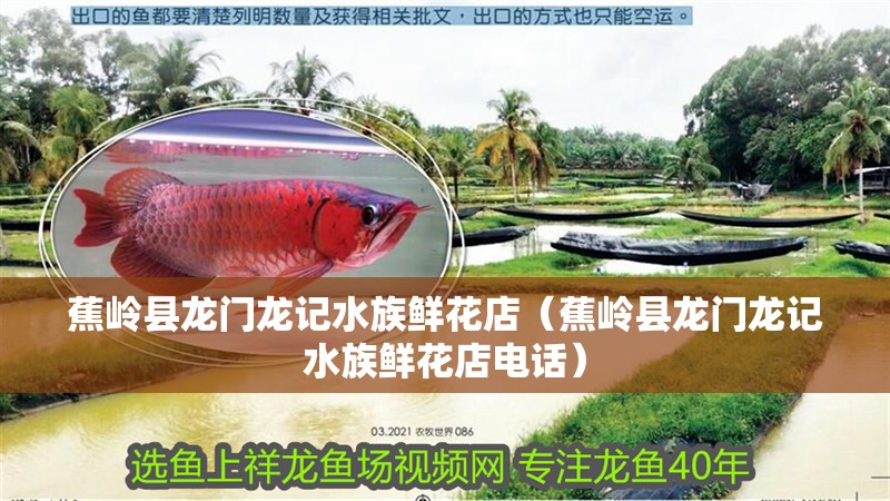 蕉嶺縣龍門龍記水族鮮花店（蕉嶺縣龍門龍記水族鮮花店電話）