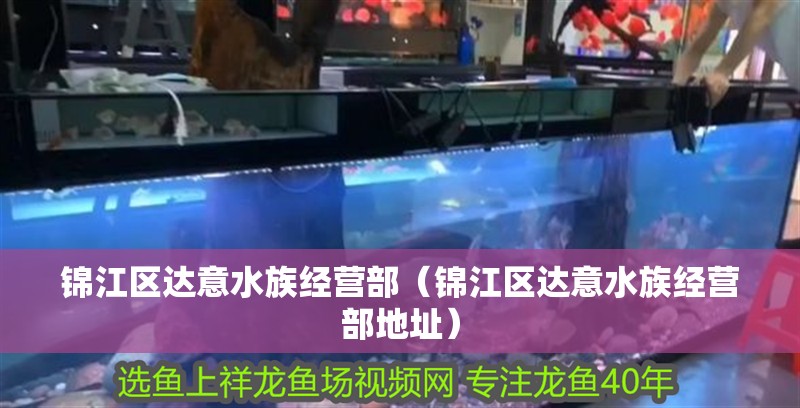 錦江區(qū)達意水族經(jīng)營部（錦江區(qū)達意水族經(jīng)營部地址）