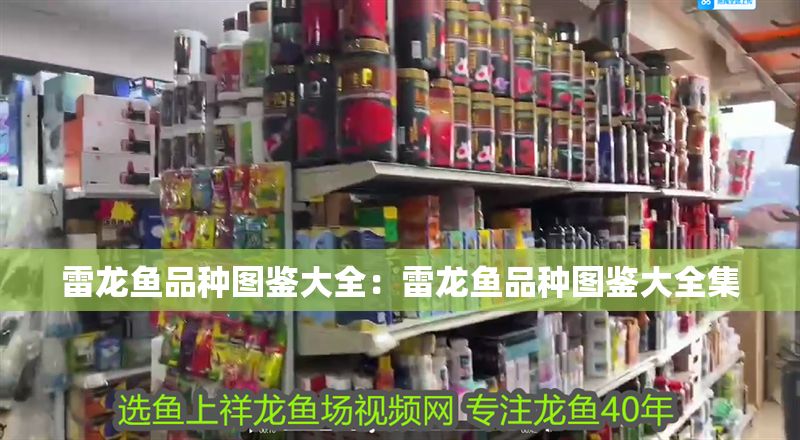 雷龍魚品種圖鑒大全：雷龍魚品種圖鑒大全集
