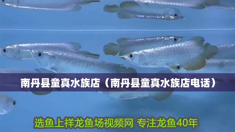 南丹縣童真水族店（南丹縣童真水族店電話）