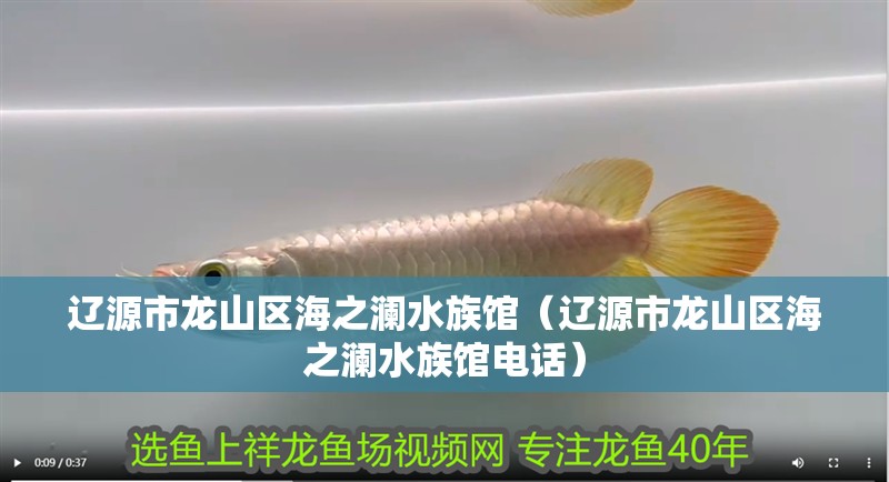 遼源市龍山區(qū)海之瀾水族館（遼源市龍山區(qū)海之瀾水族館電話）