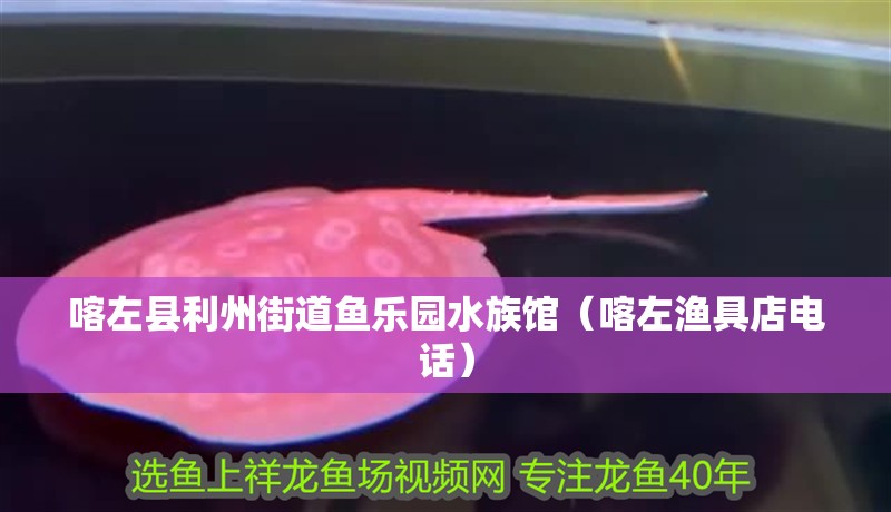喀左縣利州街道魚樂園水族館（喀左漁具店電話）