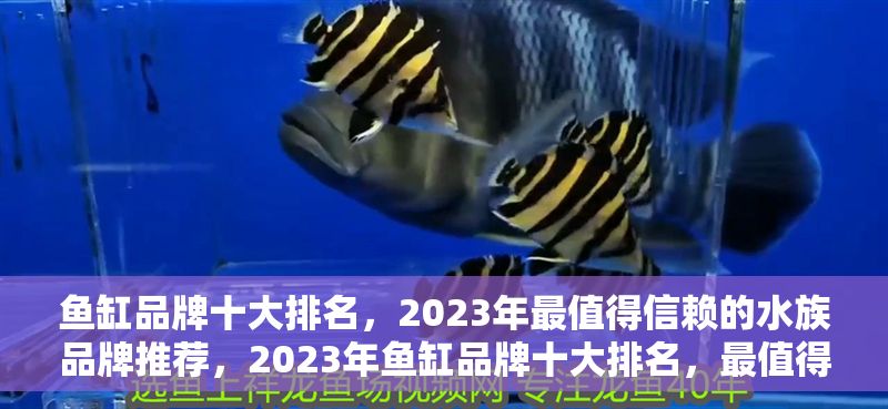 魚缸品牌十大排名，2023年最值得信賴的水族品牌推薦，2023年魚缸品牌十大排名，最值得信賴的水族品牌權威推薦