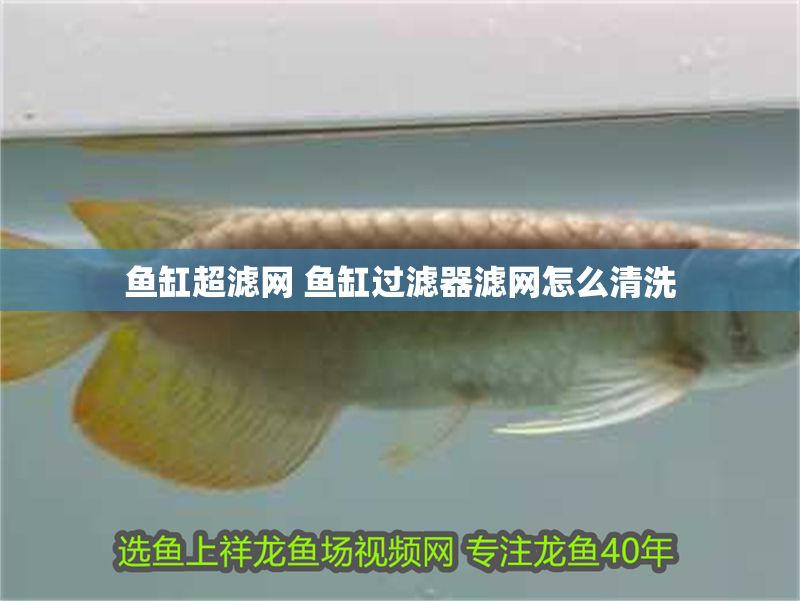 魚(yú)缸超濾網(wǎng) 魚(yú)缸過(guò)濾器濾網(wǎng)怎么清洗