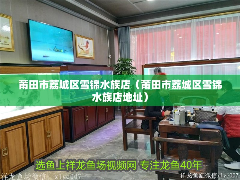 莆田市荔城區雪錦水族店（莆田市荔城區雪錦水族店地址）
