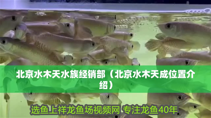 北京水木天水族經銷部（北京水木天成位置介紹）