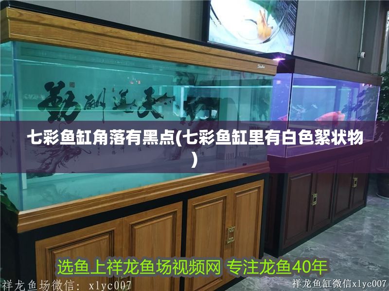 七彩魚缸角落有黑點(七彩魚缸里有白色絮狀物)