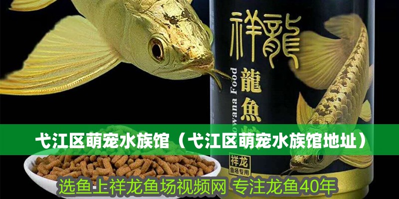 弋江區(qū)萌寵水族館（弋江區(qū)萌寵水族館地址）