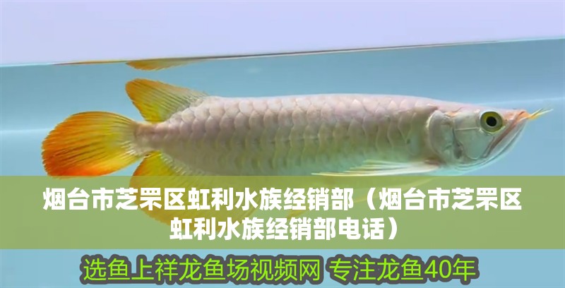 煙臺(tái)市芝罘區(qū)虹利水族經(jīng)銷部（煙臺(tái)市芝罘區(qū)虹利水族經(jīng)銷部電話）