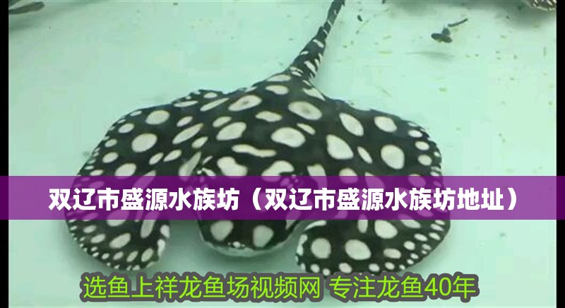 雙遼市盛源水族坊（雙遼市盛源水族坊地址）