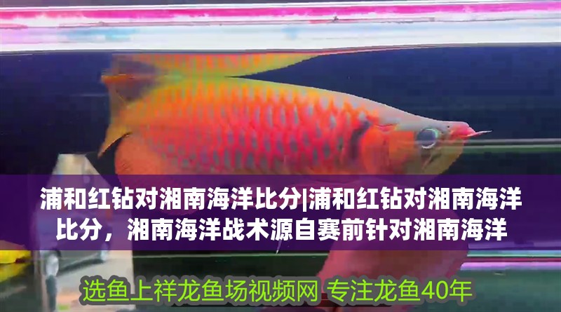 浦和紅鉆對湘南海洋比分|浦和紅鉆對湘南海洋比分，湘南海洋戰術源自賽前針對湘南海洋