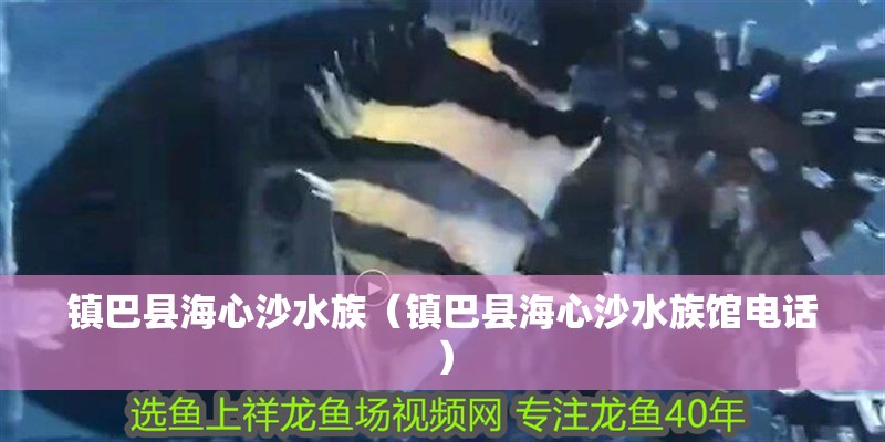 鎮巴縣海心沙水族（鎮巴縣海心沙水族館電話）