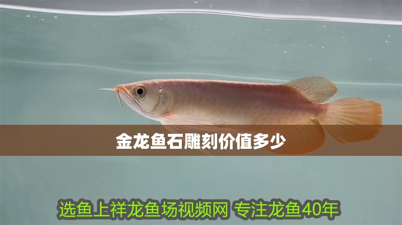 金龍魚石雕刻價值多少