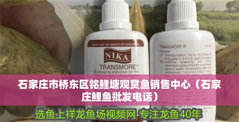 石家莊市橋東區銘鯉塘觀賞魚銷售中心（石家莊鯉魚批發電話）