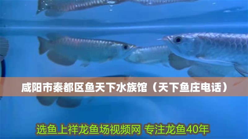 咸陽市秦都區(qū)魚天下水族館（天下魚莊電話）