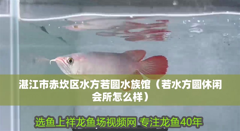 湛江市赤坎區水方若圓水族館（若水方圓休閑會所怎么樣）