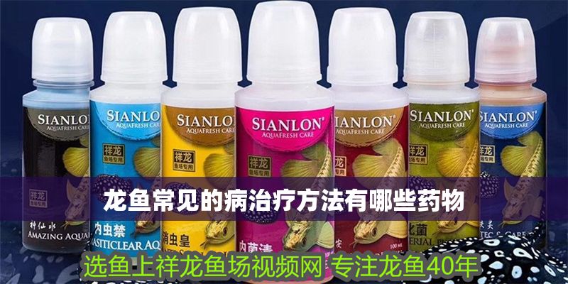 龍魚常見的病治療方法有哪些藥物