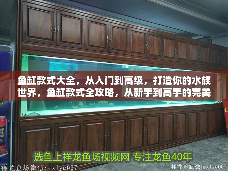 魚缸款式大全，從入門到高級(jí)，打造你的水族世界，魚缸款式全攻略，從新手到高手的完美水族箱選擇指南