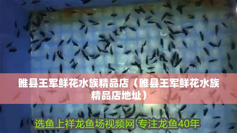 睢縣王軍鮮花水族精品店(睢縣王軍鮮花水族精品店地址) 全國水族館企業名錄 第2張 睢縣王軍鮮花水族精品店(睢縣王軍鮮花水族精品店地址) 睢縣王軍鮮花水族精品店(睢縣王軍鮮花水族精品店地址) 全國水族館企業名錄 第2張