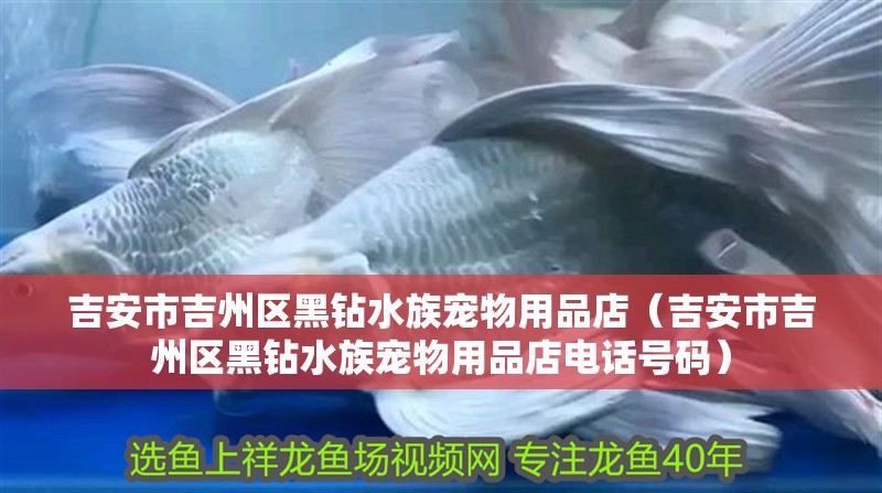 吉安市吉州區黑鉆水族寵物用品店（吉安市吉州區黑鉆水族寵物用品店電話號碼）