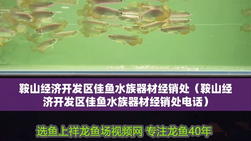 鞍山經(jīng)濟開發(fā)區(qū)佳魚水族器材經(jīng)銷處（鞍山經(jīng)濟開發(fā)區(qū)佳魚水族器材經(jīng)銷處電話） 鞍山經(jīng)濟開發(fā)區(qū)佳魚水族器材經(jīng)銷處（鞍山經(jīng)濟開發(fā)區(qū)佳魚水族器材經(jīng)銷處電話） 全國水族館企業(yè)名錄 第2張